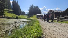20260704_093548-scaled