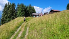 20260704_104033-scaled